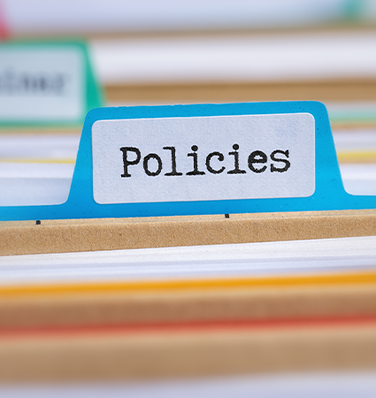 Policy Image 2
