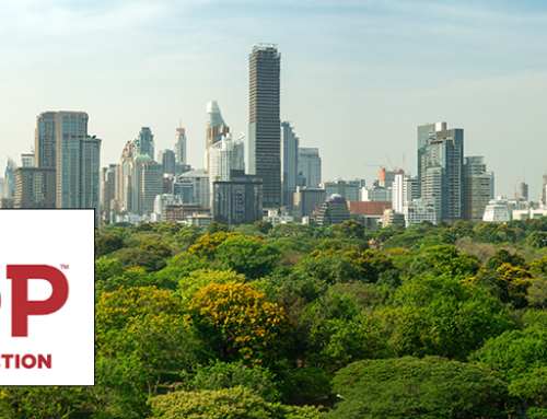 Altair Global Receives Management Level Score from CDP